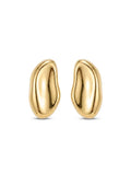 Brinco Tropic -  Banho em Ouro